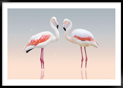 Plakat - White flamingo no1