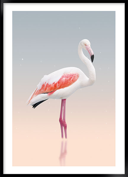 Plakat - White flamingo no2