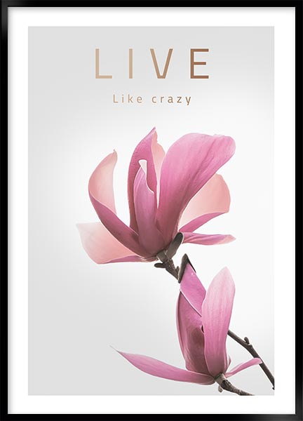 Plakat - Live