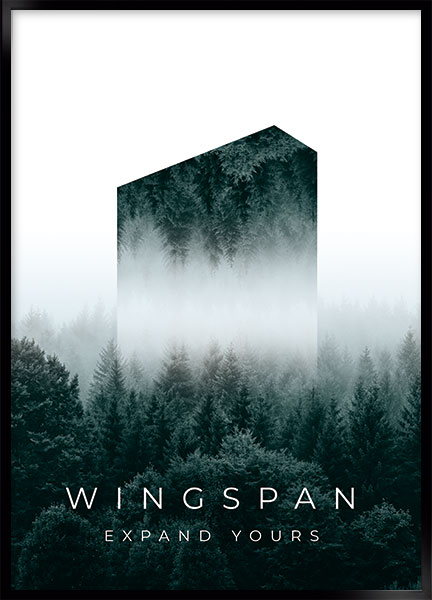 Plakat - Wingspan