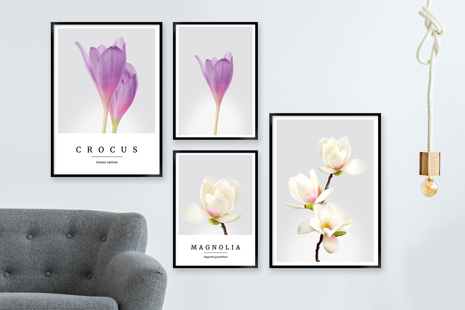 Bestil dette plakatsæt botanics_ppset12